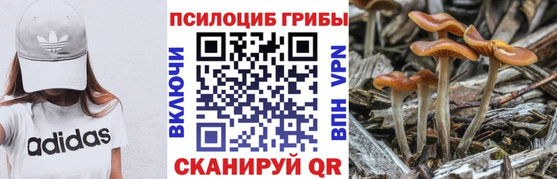 hydra как зайти  Карабулак  Галлюциногенные грибы мицелий 
